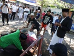 Danny Pomanto Saksikan Pemotongan Hewan Kurban dan Gelar Open House