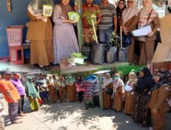 Lurah Parangloe Dampingi Kabid DP2 Makassar Bagikan Bibit  Cabai dan Sayur bagi