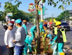 Camat Tamalanrea Pantau Pengerjaan Satgas di Median Jalan