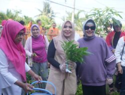 Indira Yusuf Ismail Bersama PJ Ketua TP PKK Provinsi Sulsel, Panen Sayur di Lorong PKK Makassar