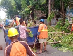Kasi Kebersihan Tindaklanjuti Instruksi Plt Camat Makassar Bersihkan Sisa Pangkas Pohon