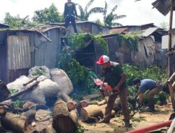 Tindaklanjuti Intruksi Camat, Satgas Panakkukang Lakukan Penanganan Pohon Tumbang