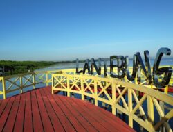 Punya Daya Tarik, Kota Makassar Punya Ekowisata Mangrove Lantebung