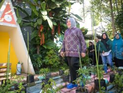 Ketua TP PKK Makassar Tinjau Lorong Wisata Gembira, Agatis Farm, dan Maastricht