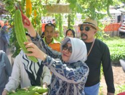 Indira Yusuf Ismail Tinjau Produk UMKM, Main Engklek dan Panen Sayur di Longwis Ichinomia