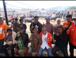 Pedagang Pasar Bolu Toraja Pastikan Dukungan untuk Danny-Azhar di Pilgub Sulsel