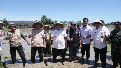 Hadiri Gerakan Menanam Padi, Wali Kota Munafri Tekankan Mendukung Swasembada Pangan