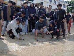 Komitmen Jaga Ekosisten Laut, ITBM Balik Diwa Gelar Penurunan Translantasi Karang di Pulau Barang Caddi