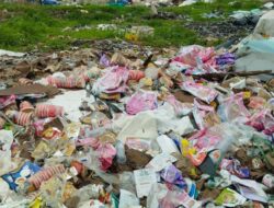 Diam-diam, TPS Ilegal 4 Hektar Beroperasi di Jantung Kawasan Industri Makassar (KIMA)