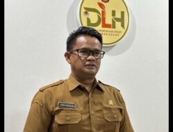 Pelayanan Gratis, Laporkan ke DLH Makassar Jika Ada Pohon Tumbang