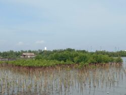 201 Pelanggaran Ruang Laut Terjadi, Komunitas Hijau Nilai Sulsel Harus Waspada