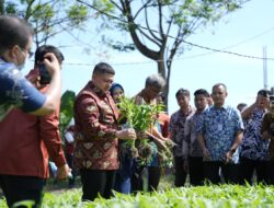Munafri Tinjau Urban Farming di Tamalate–Wajo, Targetkan Kemandirian Pangan Bagi Warga
