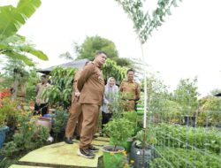Urban Farming Jadi Andalan, Wali Kota Makassar Minta Warga Maksimalkan Pekarangan
