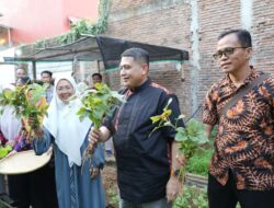 Tinjau Urban Farming Tammua Tallo, Munafri: Lahan Terbatas Bisa Bernilai Ekonomi