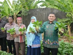Wali Kota Makassar Tinjau Urban Farming  KWT Cinta di Kelurahan Bangkala Manggala