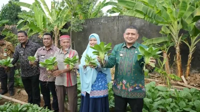 Wali Kota Makassar Tinjau Urban Farming  KWT Cinta di Kelurahan Bangkala Manggala